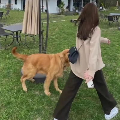 吃人爸妈